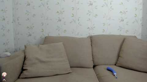 Media: A video of a beige sofa with a blue spray can on its armrest, in a room with light floral wallpaper.