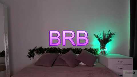 Media: Video of a minimalist, modern bedroom with a white bed, grey pillows, garland, and a neon \"BBR\" sign; green and purple light accents; a white nightstand with a vase of flowers.