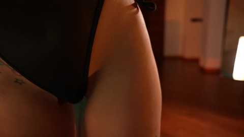 Media: Video of a close-up of a person's torso, wearing a black bra, with a tattoo on the side, in a dimly lit room with wooden floor.