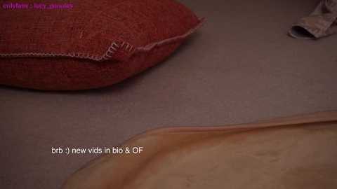 Media: Video of a close-up of a beige sofa with a torn red fabric cushion and a light brown leather armrest, with text overlay reading \"bts (new vids in big & O)\" in white.