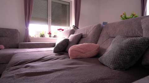 Media: Video of a cozy, light purple sofa with textured cushions, positioned in front of a window with sheer white curtains and a small table.