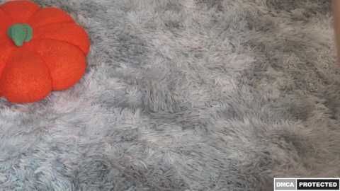 Media: Video of a fluffy grey rug with a bright orange flower plush toy on the left side. The image has a watermark in the bottom right corner that says \"IMCA Protected.\