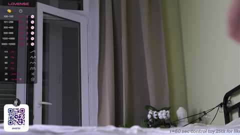 Media: Video of a bedroom with a TV displaying Chinese characters on the left, a white bed with a black metal frame, and a vase of white orchids on the nightstand.