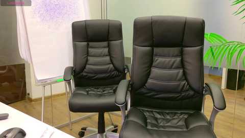 Media: Video of a modern office with two black leather executive chairs, a whiteboard, green potted plant, and wooden floor.