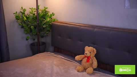 Media: A video of a cozy bedroom with a gray upholstered headboard, a teddy bear on a beige bedspread, and a green potted plant next to a floor lamp.