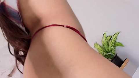 Media: Video of a woman's lower back, wearing a red thong, lying on a bed with a green plant beside her.