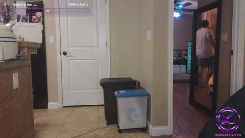 Media: Video of a modern kitchen with beige walls, white door, granite countertops, black and white trash cans, and a person in a white shirt exiting through a glass door.