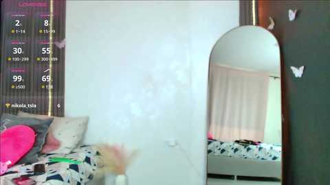 Media: Video of a cluttered bedroom with a bed covered in colorful blankets, a large mirror, and a wall adorned with butterfly stickers.