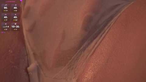 Media: A close-up video of a woman's skin, with visible stretch marks and a small, circular mole. The background shows a virtual health app screen displaying weight, age, and other metrics.