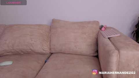 Media: A video of a beige L-shaped couch with worn cushions, a pink remote control, and a grey cat toy on a pillow, set against a plain white wall.