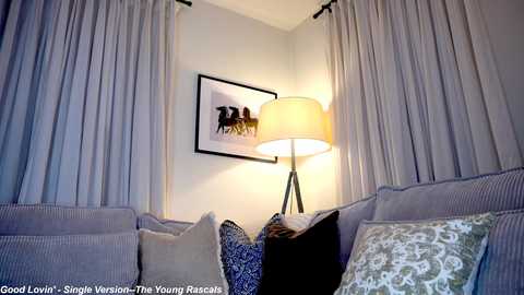 Media: Video of a cozy living room corner featuring a soft gray sofa, patterned throw pillows, beige curtains, and a modern floor lamp emitting a warm glow, with a framed artwork of horses in the background.