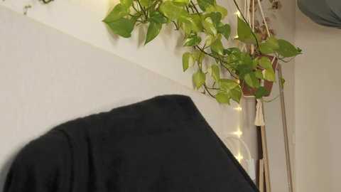 Media: Video of a black coat hanging on a white wall, next to a potted plant with green leaves and fairy lights. The background features a beige wall and a hanging lamp.