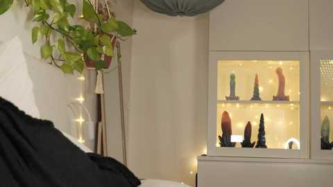 Media: Video of a modern bedroom with a white headboard, potted plants, fairy lights, a black blanket, and a display case showcasing various sex toys, including dildos and vibrators.