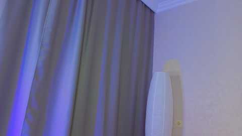 Media: A video of a corner room with a beige wall and a large, draped gray curtain partially covering a white door. The lighting is soft, creating a calm and neutral atmosphere.