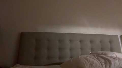 Media: Video of a minimalist bedroom with a beige tufted headboard against a plain, light-colored wall. A white duvet and pillows are neatly arranged on the bed. The room is dimly lit, creating a serene and understated atmosphere.