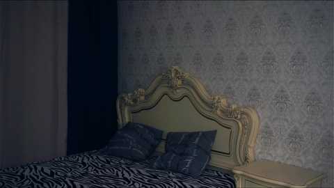 Media: Video of a dark, dimly-lit bedroom featuring a zebra-patterned bedspread, two dark pillows, and an ornate, cream-colored headboard against a gray, patterned wallpaper background.