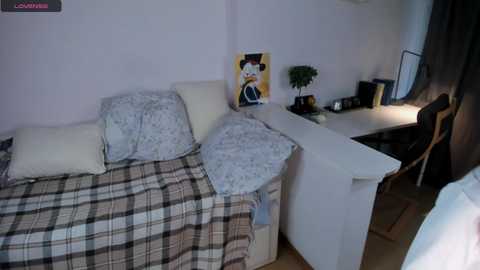 Media: Video of a small, cluttered bedroom with a single bed, white pillows, and a plaid blanket. A desk with a computer, papers, and a potted plant is in the background.