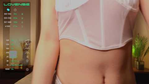 Media: Video of a fair-skinned woman in a sheer, white, semi-transparent crop top revealing her flat stomach and midriff. The background features a modern, indoor setting with a green plant and a partially visible clock.