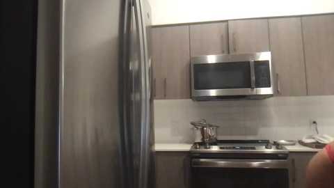 Media: Video of a modern kitchen with stainless steel appliances, including a refrigerator and microwave, against light wooden cabinets and white backsplash.