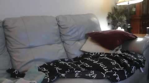 Media: Video of a person lying on a light gray couch, wearing a black robe with white writing, head on a maroon pillow, surrounded by a cozy, dimly lit living room with wooden furniture and a lit lamp.