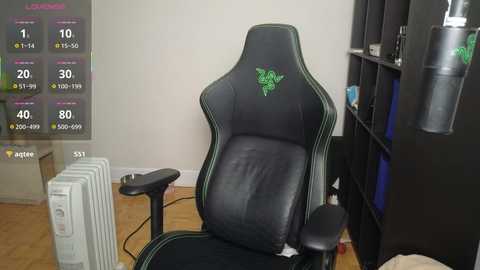 Media: Video of a black gaming chair with green logos, placed in a modern, organized room with a heater, wooden floor, and a bookshelf.