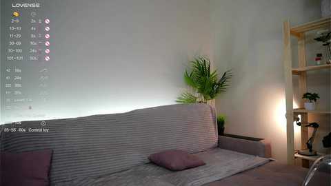 Media: Video of a minimalist living room with a grey couch, green potted plant, and wooden shelving unit, featuring a digital clock display and a video recording indicator.