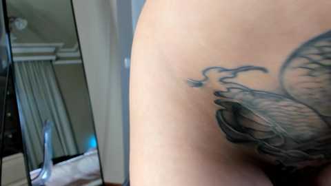 Media: Video of a person's back tattoo featuring a detailed, realistic black and gray bird in flight. Background shows a bedroom with white curtains and a mirror.