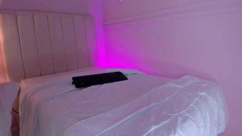 Media: Video of a minimalist bedroom with a single white bed, white headboard, and a black keyboard on the bed. The room is illuminated by soft, purple LED lights on the wall, giving a soothing ambiance.