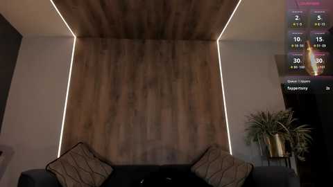 Media: Video of a modern living room with a wooden wall, black sofa, two patterned pillows, and a digital fireplace screen on the right, displaying a burning fire.