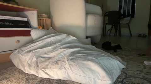 Media: Video of a cluttered room with a black cat curled up on a white, rumpled bedspread. A white chair and bookshelf with books and a Chanel bag are visible.