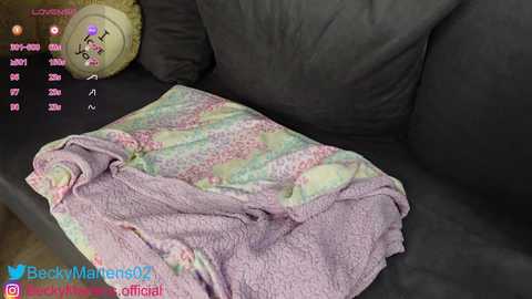 Media: A video of a gray couch with a multicolored tie-dye blanket and plush toy, displaying a social media feed with likes and comments.