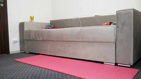 Media: Video of a modern, gray sectional couch with a pink yoga mat placed in front on a patterned gray carpet. The background features a white wall and a partially visible wooden door.