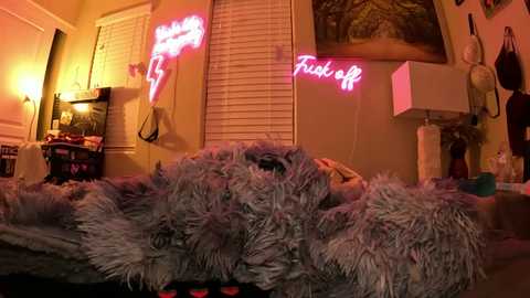 Media: A video of a messy bedroom with a fluffy grey blanket, neon \"Fuck Off\" signs, a TV, and a large window with blinds.