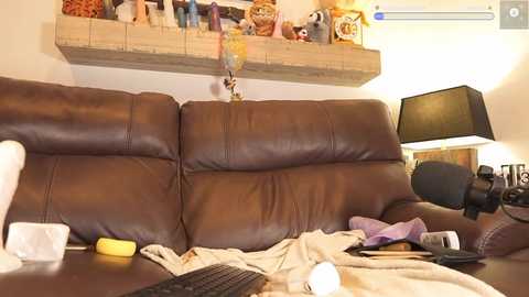 Media: A video of a cozy living room featuring a brown leather couch with a wooden shelf behind, adorned with toys and plushies. A desk with a computer monitor, keyboard, and mouse is visible.