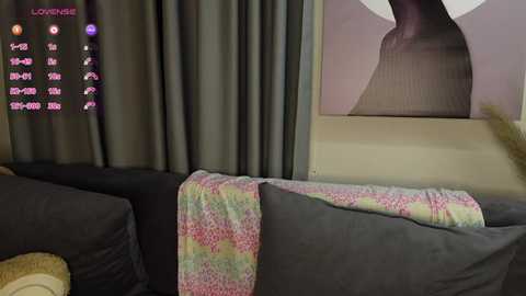 Media: A video of a dark grey couch with a colorful blanket draped over it. A large abstract painting of a woman's face is partially visible on the wall. The room has dark curtains and a pink digital display.