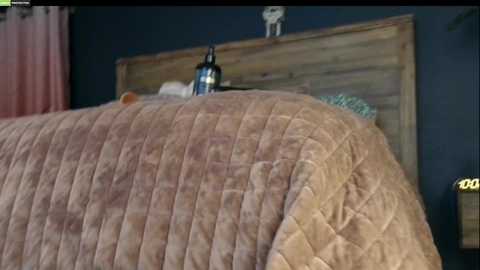 Media: A video of a cozy bedroom with a wooden headboard, a beige quilted blanket, a deer figurine, and a dark wall.