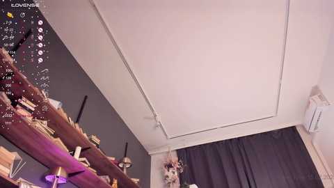 Media: Video of a modern, cluttered living room with dark gray walls, white ceiling, and a dark curtain. Shelves hold various objects, including a plant, a vase, and a pair of black sunglasses.