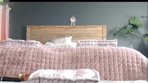 Media: Video of a cozy, rustic bedroom with a wooden headboard, soft pink quilted blanket, and a large green leafy plant.
