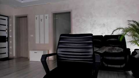 Media: Video of a minimalist living room with a black leather chair, beige walls, and a potted palm tree, featuring a white air conditioner and a black sofa with decorative pillows.