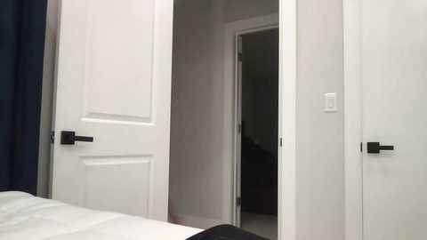 Media: Video of a modern bedroom with white doors, one open, revealing a hallway. The room features a dark blue curtain and a black door handle.