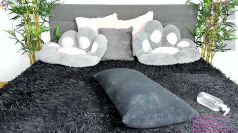 Media: A video of a plush, gray cat bed with two cat-shaped pillows and a black faux fur blanket on a shaggy black rug. A clear plastic water bottle is placed on the rug.