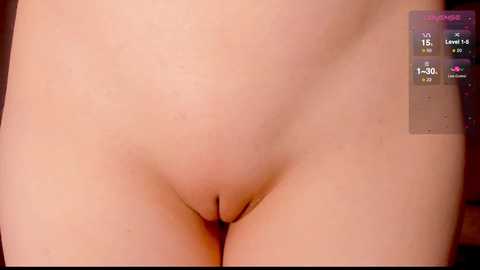 Media: Video of a close-up, unclothed, light-skinned woman's lower abdomen and genital area. The image includes a digital clock overlay displaying the time as 11:15 AM.