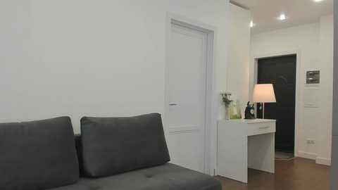 Media: Video of a minimalist, modern living room with a dark gray couch, white wall, white door, and a white desk with a lamp and flowers.