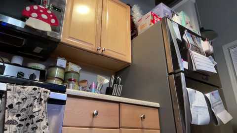 Media: A video of a cluttered kitchen with wooden cabinets, a microwave, a fridge covered in papers and notes, and a patterned tea towel hanging from the oven.