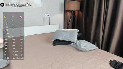 Media: Video of a minimalist bedroom with a beige bed, two pillows, and dark curtains; a digital overlay displays temperature and humidity data.