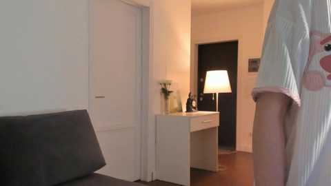 Media: Video of a modern, dimly lit bedroom with a white desk, lamp, and door. A person in a white shirt with a pink pattern is partially visible in the foreground.