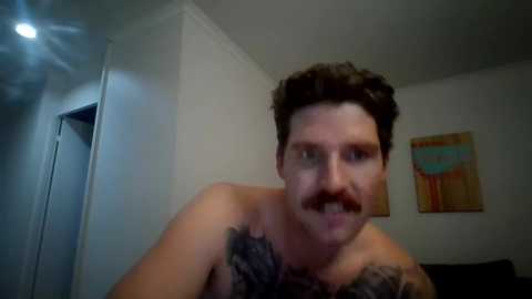 Media: A video of a man with curly brown hair, mustache, and a tattoo on his chest, shirtless, in a dimly lit room with white walls and abstract art.