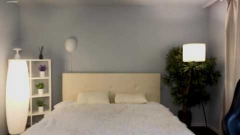 Media: A video of a minimalist bedroom with a white bed, light grey walls, a white shelf, a white lamp, and a green plant.