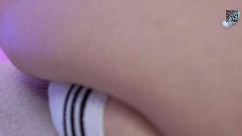 _mayflower_ free recording from 2025-02-23 09:19:00