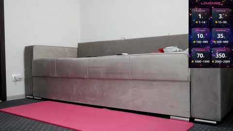 Media: Video of a minimalist room with a modern, gray sectional sofa and a pink exercise mat on the floor. In the background, a digital fitness display shows workout stats.